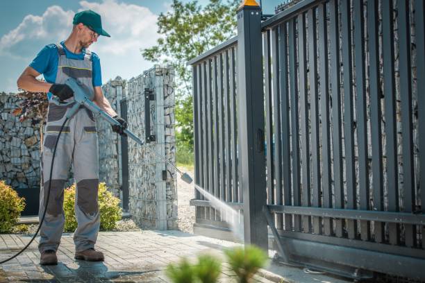 Best Graffiti Removal  in Orlovista, FL