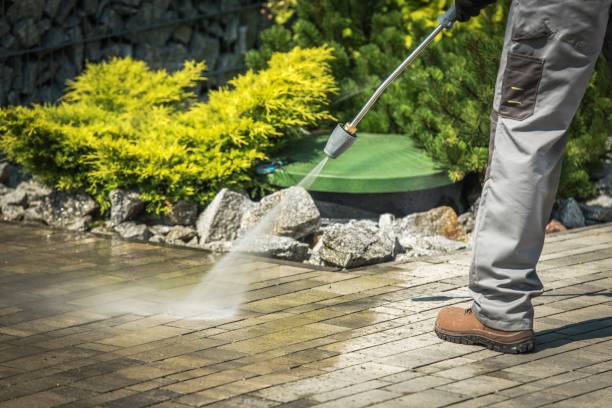 Best Machinery and Equipment Cleaning  in Orlovista, FL