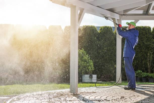 Boat and Dock Cleaning in Orlovista, FL
